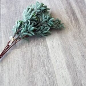 Плитка ДУБ ПОЛЯРНЫЙ ECO 3-19_2